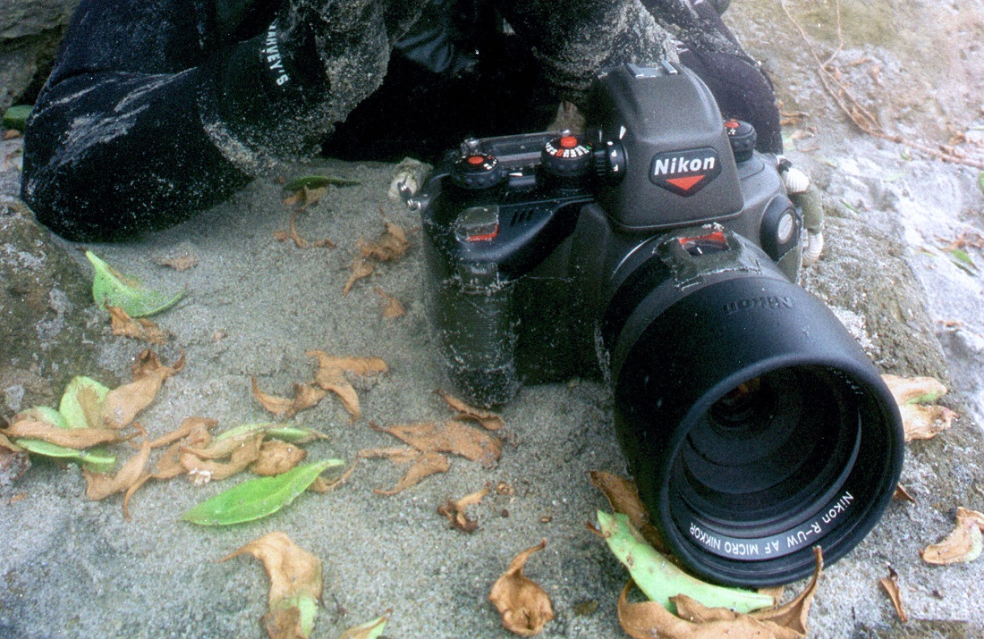 A camera at the bottom of the ocean floor with specs of sand on it
